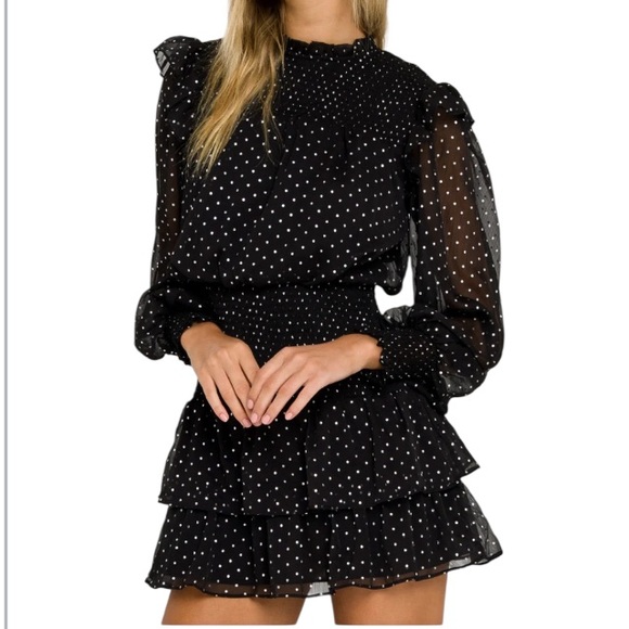 Vici Dresses & Skirts - Vici x Gina Black Sheer Polka Dot Chiffon Smocked Ruffle Long Sleeve Mini Dress